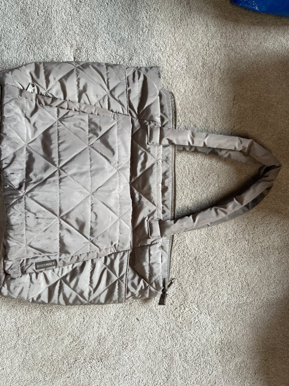 Bagsmart Tote Bag (Project Piece Ink Stained -Storage for Gardending Tools?) - Picture 3 of 16